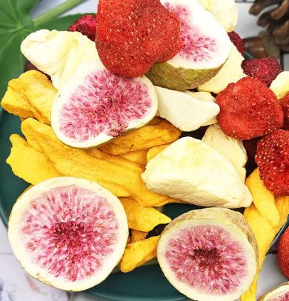 fruit lyophilizer factory